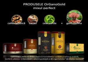 CAFEA CU GANODERMA BIO ORGANICA 0721339995 CEAI SI CIOCOLATA CALDA VANZARI DISTRIBUTIE IN ROMANIA