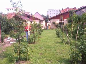 casa,   zona Aurel Valicu