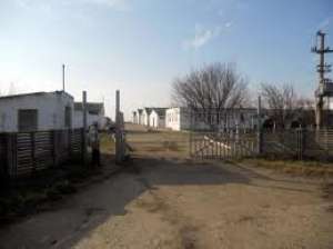 vand ferma  + 6 ha,  jud giurgiu