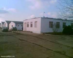 vand ferma  + 6 ha,  jud giurgiu