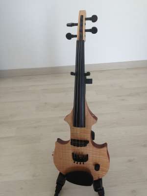 vioara fourness