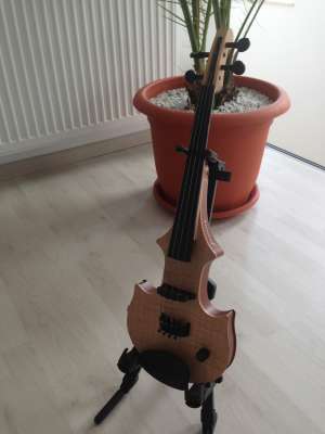 vioara fourness