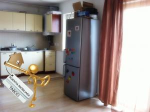 Apartament la mansarda de inchiriat in Sibiu zona Cedonia