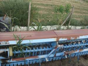 vand semanatoare sup 29