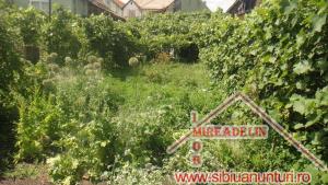 VAND CASA,   STRADA CARAMIDARIEI