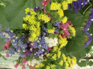 Vand flori Statice sau Limonium la buchet