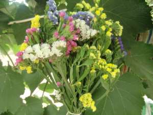 Vand flori Statice sau Limonium la buchet