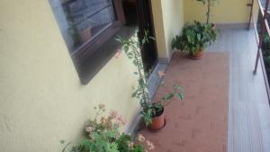 VAND CASA IN ZONA BUNA