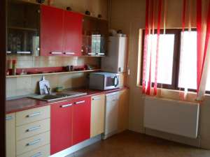 Vila x5 camere Cornetu