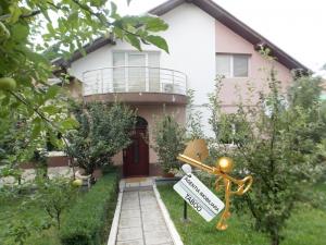 Casa de lux de vanzare in zona ultra centrala