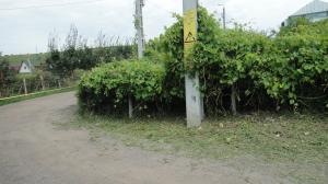 Teren Plopii fara Sot 500mp