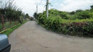 Teren Plopii fara Sot 500mp