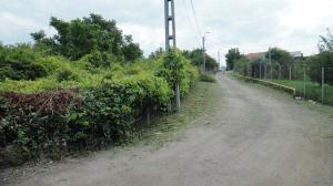 Teren Plopii fara Sot 500mp