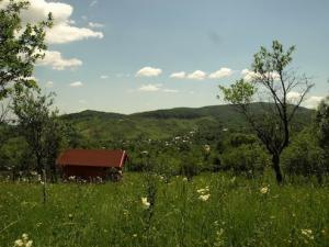 Vand teren la munte cu o casuta de lemn si un proiect de casa