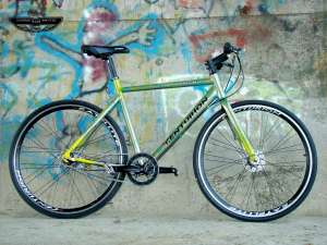 Bicicleta CENTURION ETERNITY-Vopsea ��REPTILE�