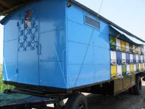 Vand Pavilion Apicol