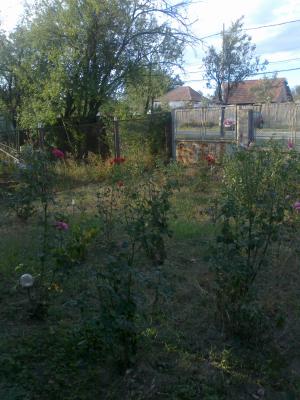 vand casa cu gradina si anexe