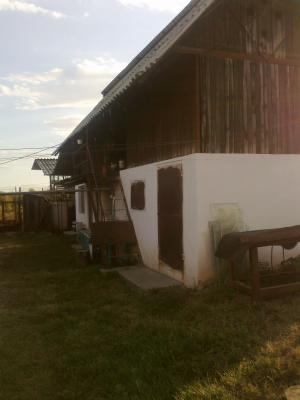 vand casa cu gradina si anexe
