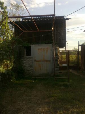 vand casa cu gradina si anexe