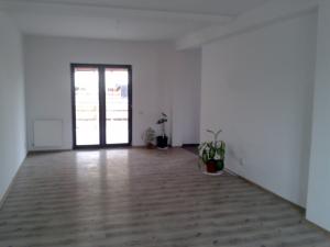 OFERTA! Vila Domnesti la asfalt