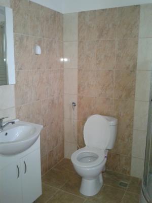 OFERTA! Vila Domnesti la asfalt