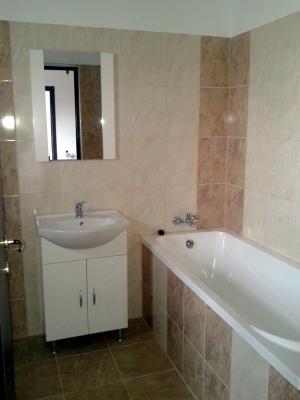 OFERTA! Vila Domnesti la asfalt