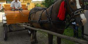 Vand Trasura