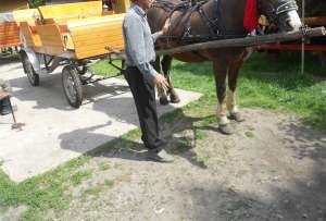 Vand Trasura