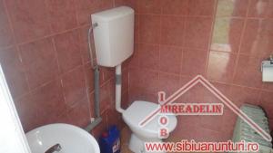 INCHIRIEZ SPATIU COMERCIAL,   100 mp,   TREI STEJARI