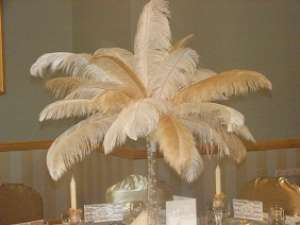 Decor pene de strut