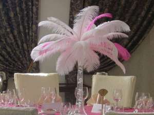 Decor pene de strut