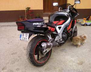 Schimb / vand vitezana Honda CBR 900 RR Fireblade