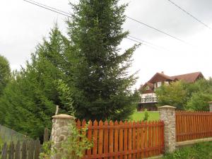 VILA-CASA VACANTA CEAHLAU LA 200METRI DE BICAZ