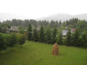 VILA-CASA VACANTA CEAHLAU LA 200METRI DE BICAZ