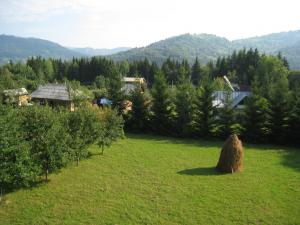 VILA-CASA VACANTA CEAHLAU LA 200METRI DE BICAZ