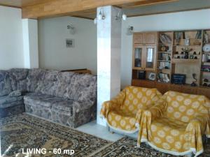 Tulcea,     Vila P+E+M