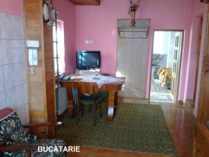Tulcea,     Vila P+E+M
