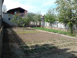 Tulcea,     Vila P+E+M
