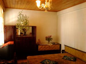 Tulcea,     Vila P+E+M