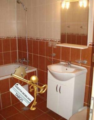 Apartament 3 camere la mansarda in Sibiu zona Milea
