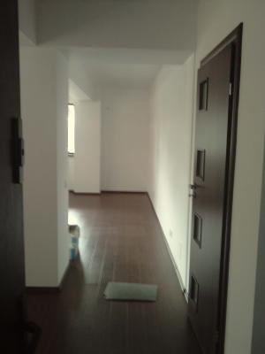 Vand garsoniera plus garaj zona Jiului