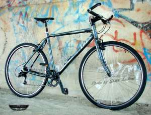 Bicicleta Trek �Vopsea UNICAT �REPTILE 2�-Roti 28�