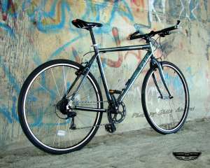 Bicicleta Trek �Vopsea UNICAT �REPTILE 2�-Roti 28�
