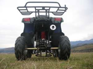 ATV 110 ccm Grizly 1 nou cu garantie.  LIVRAREA GRATUITA IN TOATA TARA!