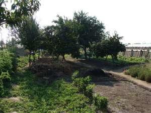Vand casa in sat Varsatura Jud.Braila