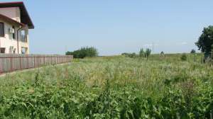 Vand avantajos teren intravilan Petresti - Focsani