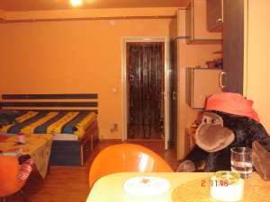 PROPRIETAR,  vand garsoniera renovata modern Dristor