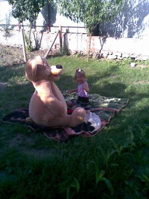 schimb casa valu lui traian cu ap ct