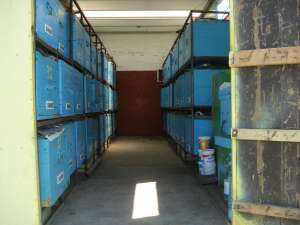 camion omologat apicol