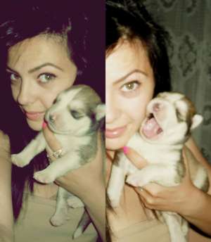 Vand puiuts Husky